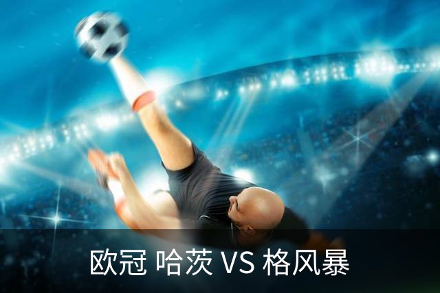 欧冠 哈茨 VS 格风暴